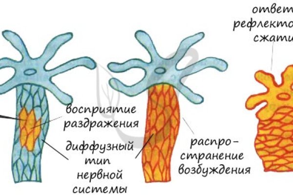 Ссылки на сайты даркнета